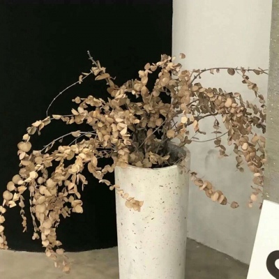 Furry插画构图解析FurryQQ群